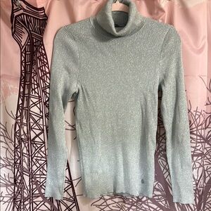 Women's Silver Turtleneck Sweater